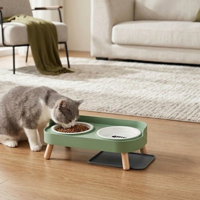Gamelle pour Chat surélevée vert utiliser par chat au salon