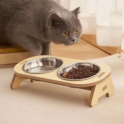 Gamelle surélevée chat avec nourriture proche d'un chat gris
