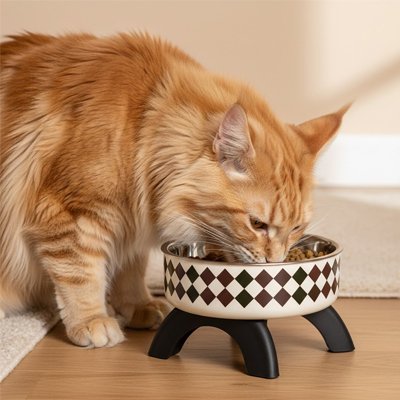 Gamelle surélevée chat Damier noir et blanc utiliser par chat roux