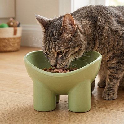 Gamelle surélevée chat en utilisation avec un chat tabby