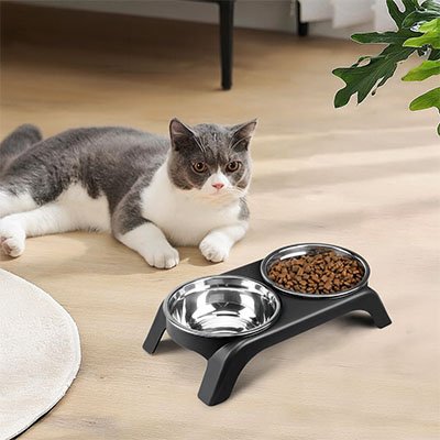 Gamelle surélevée chat près d'un chat qui regarde