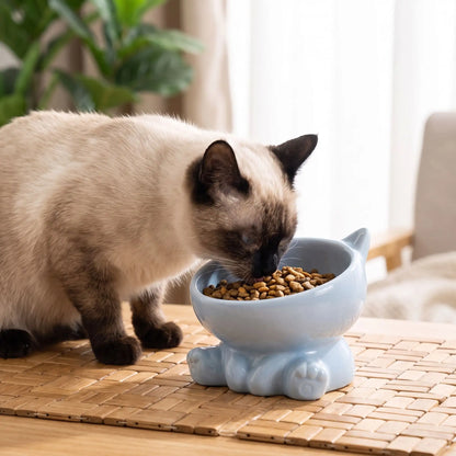 gamelle surélevée chat siamois mangeant des croquettes salon