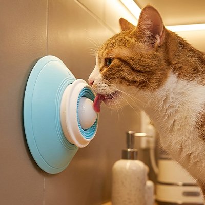 Gamelles anti glouton Chat pour faire travailler la langue