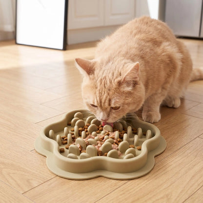 gamelles anti glouton chat pour un repas calme