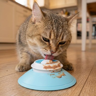 Gamelles anti glouton Chat pour une alimentation saine