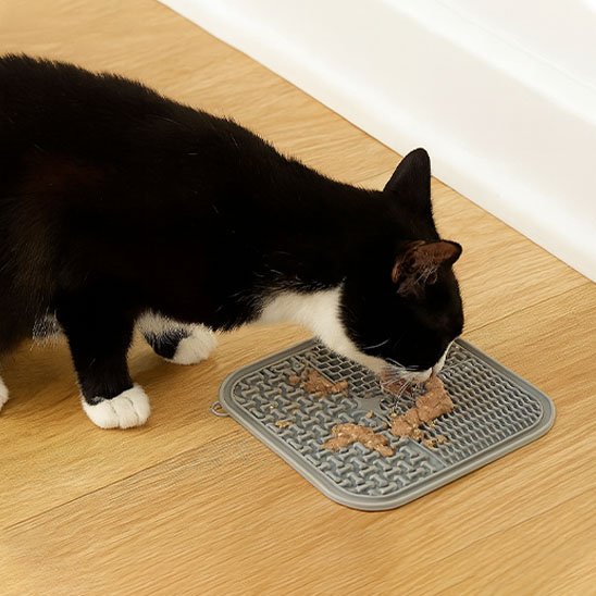 Tapis de lechage chat gris pâle