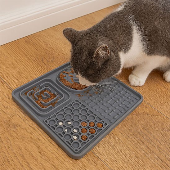 Tapis de lechage chat pour occuper votre chat