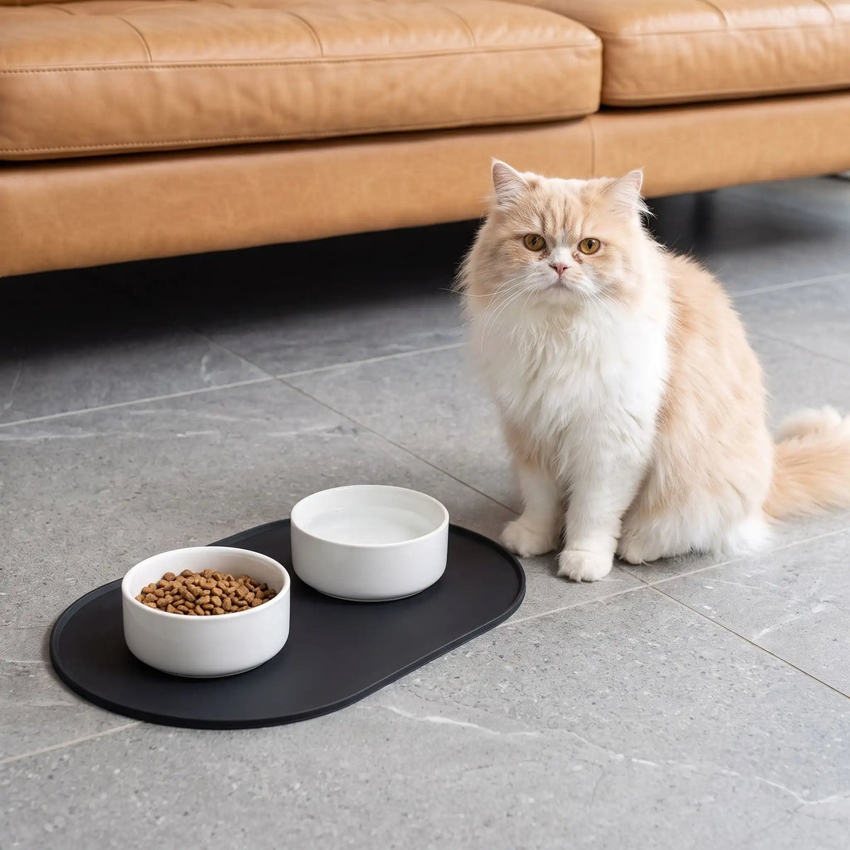 tapis-gamelle-chat-noir-avec-deux-bols-blancs-et-chat-poilu